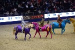 Quadrille - 00521